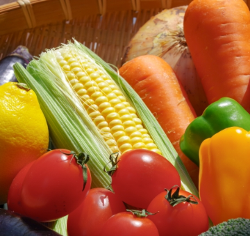 ダイエットに適した食事指導